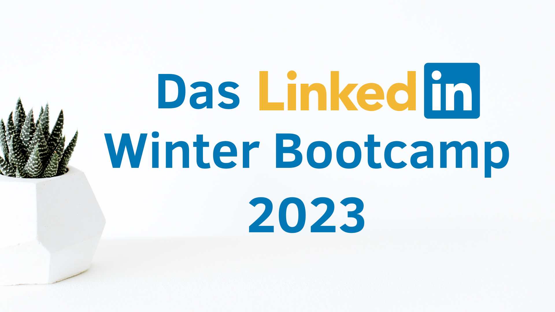 LinkedIn Bootcamp_2023