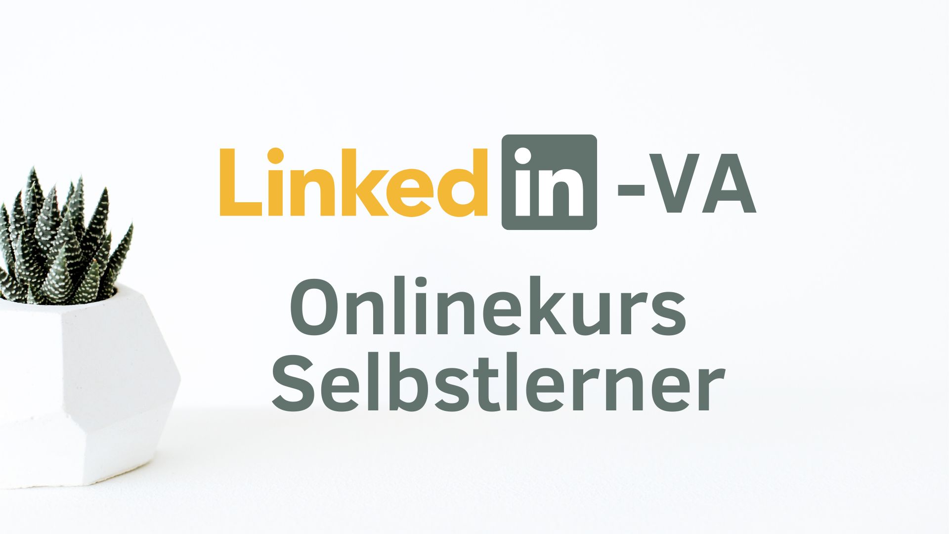 LinkedIn Selbstlerner VA